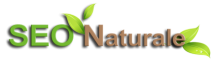 SEO Naturale, search engine optimization consultancy firm logo